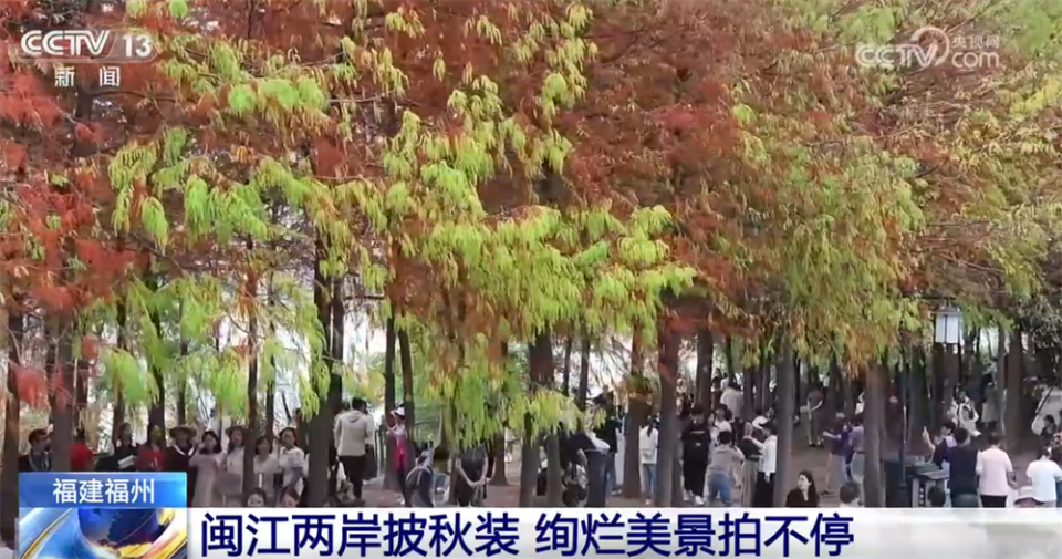 多场景联动打造“赏秋游”沉浸式新体验 “秋日经济”带火文旅消费新实践