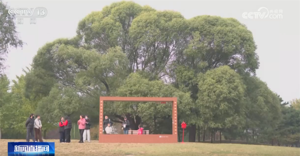 多场景联动打造“赏秋游”沉浸式新体验 “秋日经济”带火文旅消费新实践