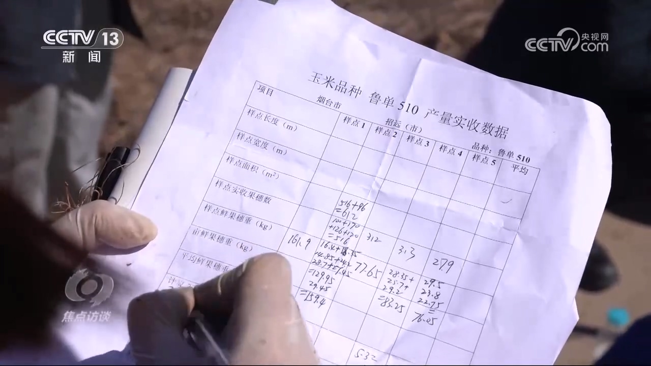 焦点访谈|秋粮抢收抢烘 这场“保卫战”如何打好?