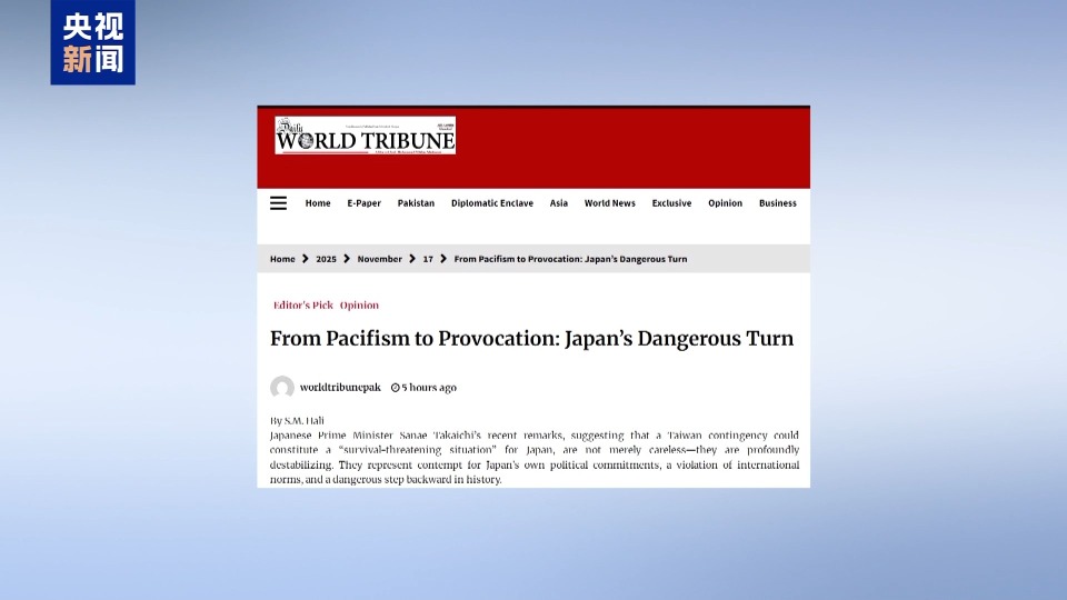 视频丨多国专家:高市言论是破坏和平的谬论