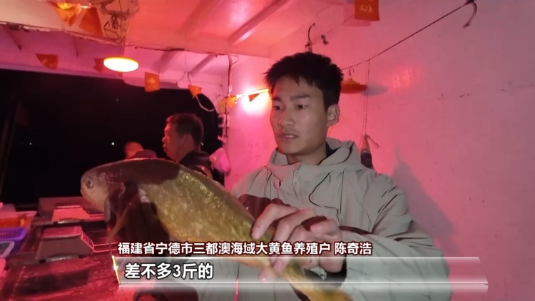 灯彩映福+舌尖寻味+冬游升温 共赏喜迎元旦幸福图景