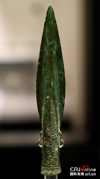 探寻神秘巴文化:台湾自媒体人走进达州罗家坝遗址博物馆(两岸关系)_fororder_1