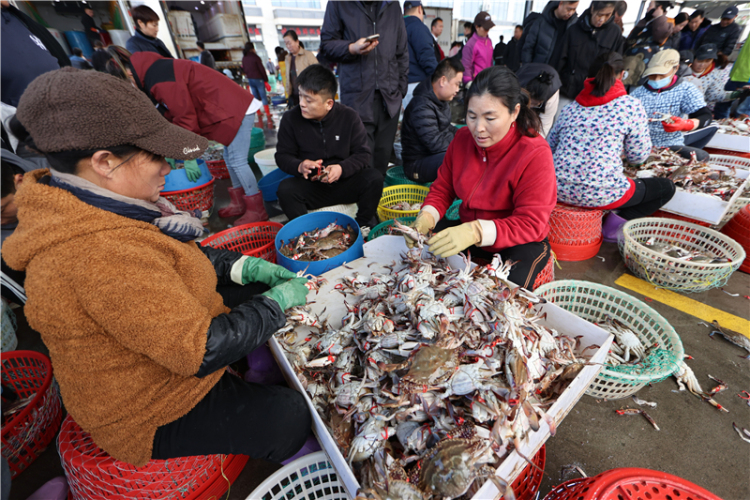 江苏连云港:秋捕梭子蟹喜丰收_fororder_20251030_093856_006
