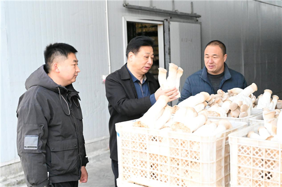 从田间地头到产业潮头的淮安清江浦“乡土动能”_fororder_图片3