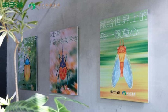 朱赢椿“虫遇”展览南京启幕 “虫子谷”生态文旅项目焕新自然艺术_fororder_图片 3