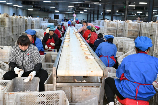 从田间地头到产业潮头的淮安清江浦“乡土动能”_fororder_图片2