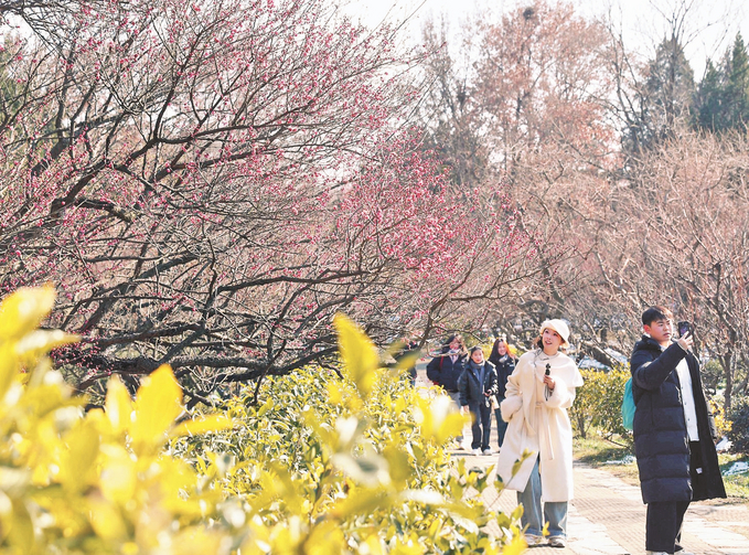 图片默认标题_fororder_微信图片_20260123094331