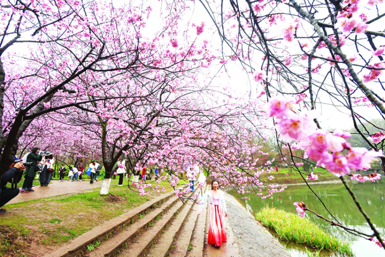 图片默认标题_fororder_IMG_2145