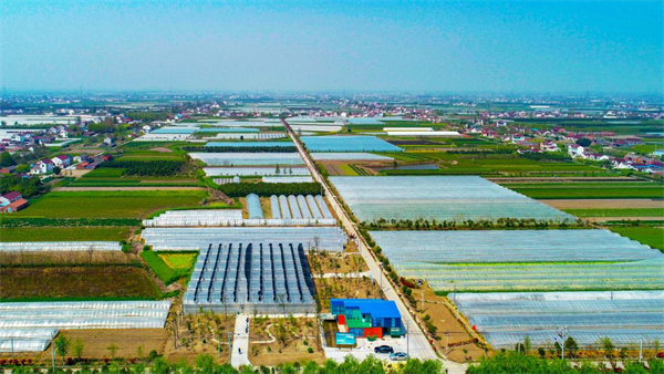 文艺赋美 盐城东台绘就乡村振兴新图景_fororder_11