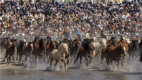 新春文旅市场火爆!南通森迪旅游度假区发力 春节假期接待游客近20万人次_fororder_图片5