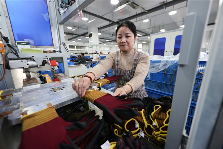 江苏连云港:赶制出口订单产品_fororder_20251104_092512_002