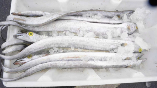 给你家的年夜饭添道“南通鲜”:年味渐浓 “鲜”机勃勃_fororder_微信图片_20260213102458_4_18