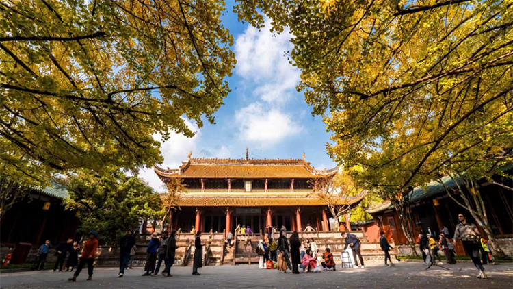 2025第三届成都国际文学周将于11月5日启幕_fororder_未标题-3