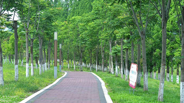 眉山洪雅 为民生写就一首城市的“立体情诗”_fororder_龙吟滩湿地公园