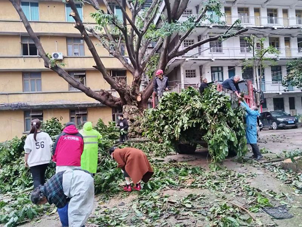 达州大竹:“暖心行动”点亮居民幸福生活_fororder_清理树叶现场-供图-大竹县委宣传部(1)