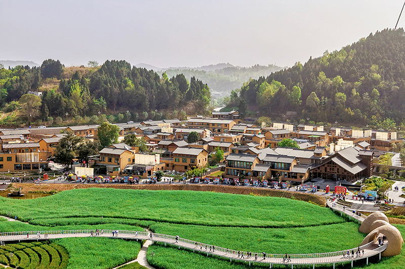千年一面 乡风新韵:中江挂面村的乡村振兴实践_fororder_微信图片_20250413133209