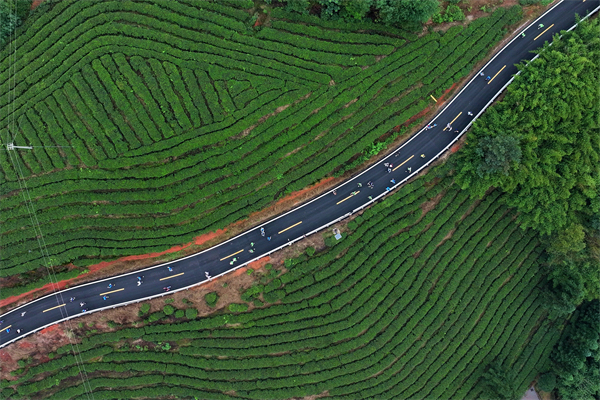 泸州纳溪“花火溪游记”启幕 2000余名参赛者“向溪而行”_fororder_参赛选手们沿乡村公路经过生机勃勃的茶园。廖胜春-摄--(1)