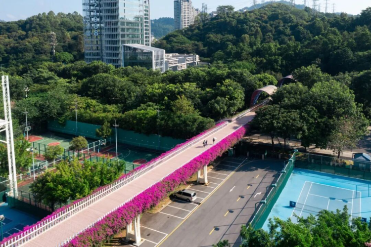 광저우 황푸 가장 아름다운 '공중 화원' 전국운동회 맞이해 활짝_fororder_图片88888