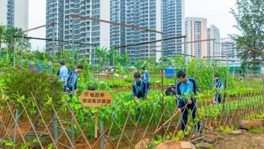中职劳动教育“闯”出大天地