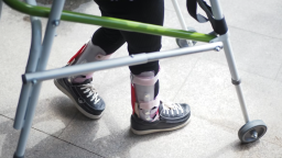 培养特殊教育教师有了路线图