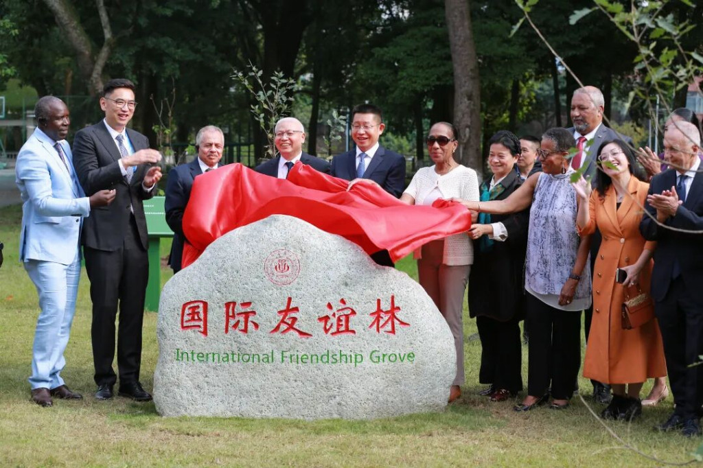 11国驻华大使团雨城行 文旅融合催生乡村振兴“国际课”