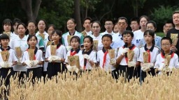 从小学到大学 思政教育这场“接力”怎么跑