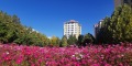 图片默认标题_fororder_(9)