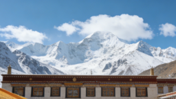 扎根雪域高原 静待绿树成荫