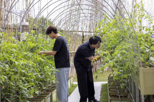 华南农大珠江学院：以“三融”为笔 写好应用型人才培养文章