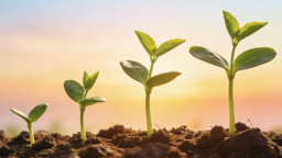 愿做一束微光 为学生成长引路_fororder_ScreenShot_2026-01-29_094614_878