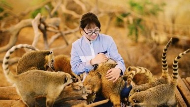 找一份“神仙工作” 把热爱当主业