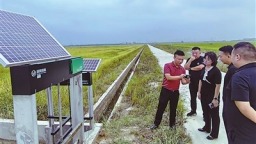 书写田埂间的“科技答卷”