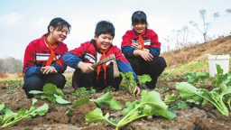 田间课堂学农事