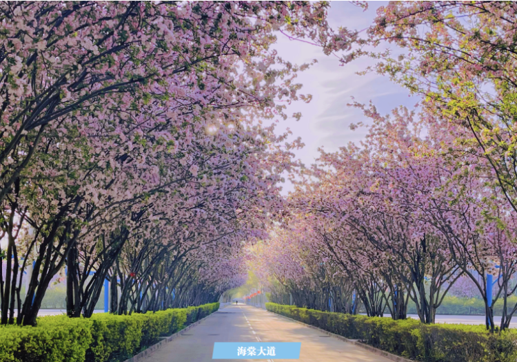 2025高招进行时 | 燕京理工学院：京津冀核心区位优势得天独厚 应用人才立交培养 招生计划较往年增加_fororder_1