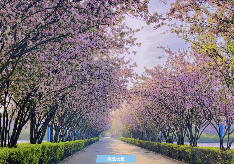 2025高招进行时 | 燕京理工学院：京津冀核心区位优势得天独厚 应用人才立交培养 招生计划较往年增加_fororder_1