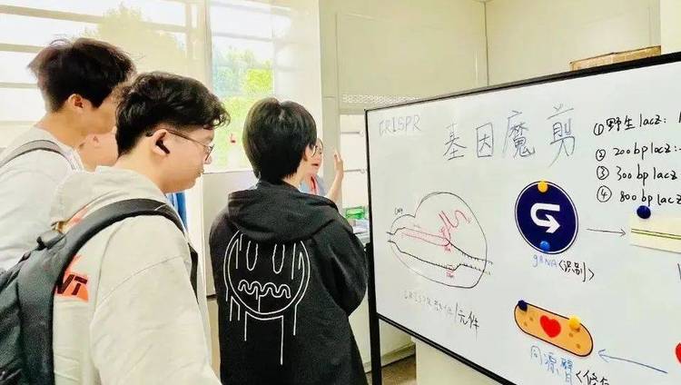 第十七届国际名校来了择校展丨BANZ全球化校区受邀出席 招生官一对一现场指导