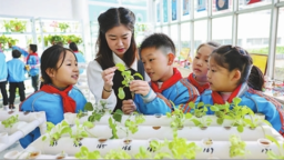 从“书包减重”到生态重塑