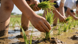 长江畔的“背篓课堂”_fororder_ScreenShot_2026-01-06_103120_496