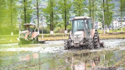 南平市松溪县迎来春耕关键期