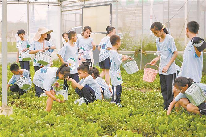 共治共享碳惠民生 绿色生活浸润厦门