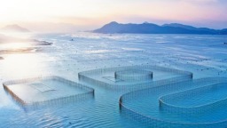 宁德：年年有黄鱼 年年都有余