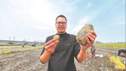 福州长乐发展农业新质生产力，推进马铃薯等粮食作物质量、产量提升  粮田“新”变