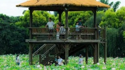 福州闽侯溪源村：荷风穿古寨 露营伴飞瀑