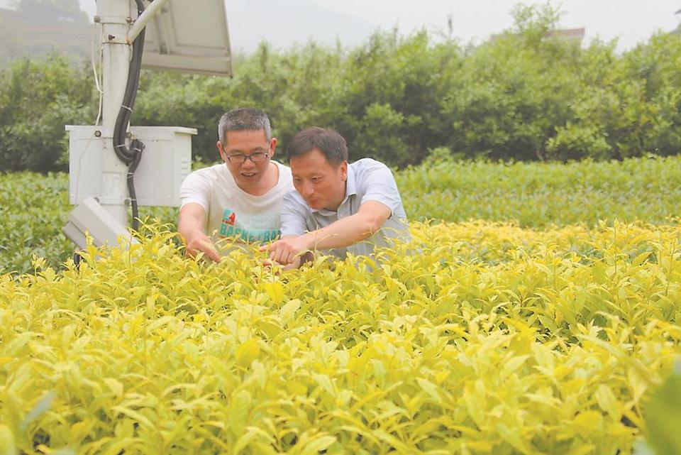 图片默认标题_fororder_fe043a35-7217-4f4e-9624-7c4abcbde979
