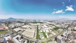 漳州市芗城区：“繁星”织链的产业“进化论”