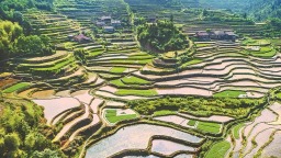 南平浦城：红色山乡 在光影中苏醒