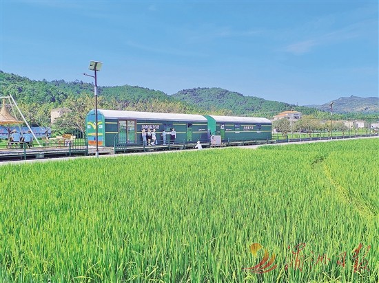 莆田钟山镇：铺展和美共富新图景