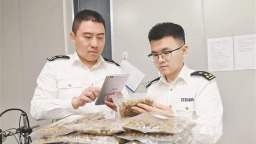 福建铁皮石斛枫斗首次出口新加坡