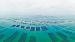 莆田城厢灵川镇：打开海参养殖“新蓝海”