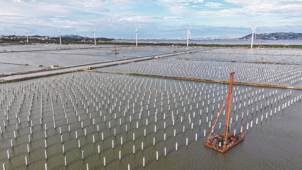 莆田湄洲：千亩海域崛起“绿能矩阵”